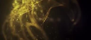 金色粒子特效视频视频的预览图